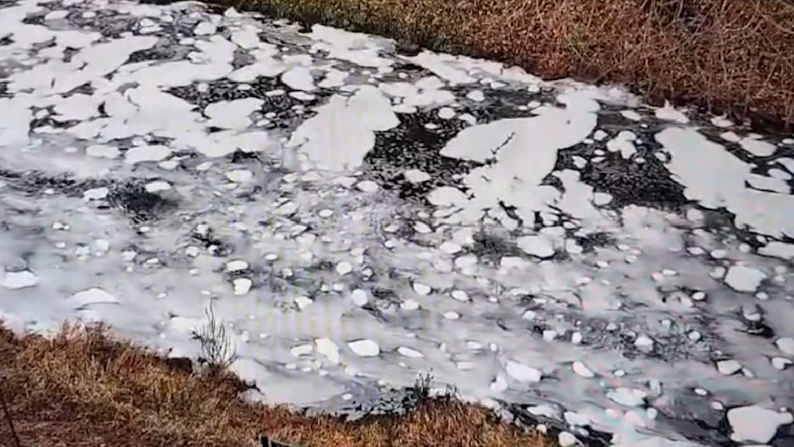 Enaspol podezřelý ze zpěnění Bíliny