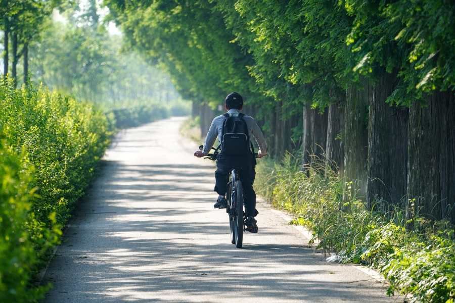 Nová cyklotrasa na Radovesické výsypce: Asfalt nebo jiný povrch?