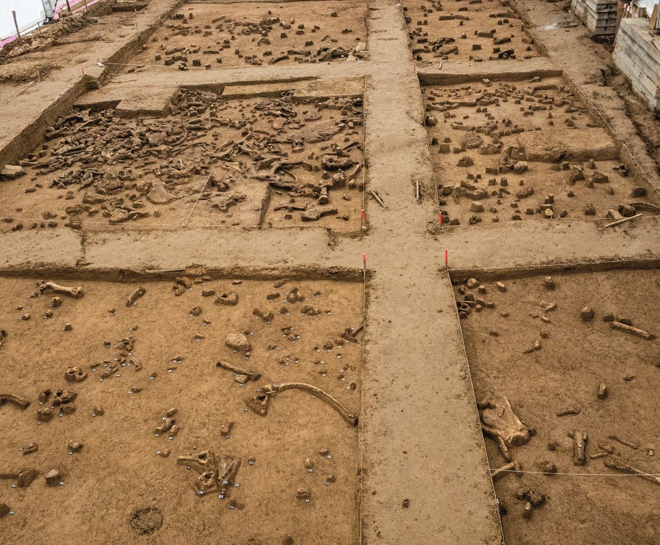 Nález 19 mamutů v Ústí nad Labem: evropský archeologický unikát