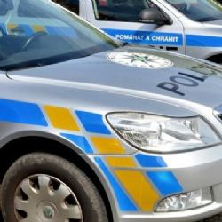 Policista roku 2024