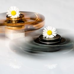 Nový stacionář pro osoby s autismem otevřen v Chomutově