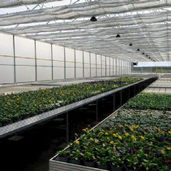 Moderní skleníky za 62 milionů pro Děčínskou školu