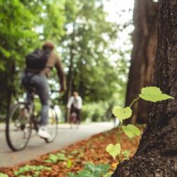 Nová cyklostezka: Bezpečněji k jezeru Milada