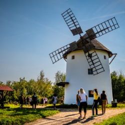 Po mnoha letech jsme otočili střechou větrného mlýna