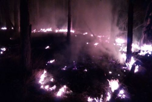 Foto: Požár trávy Račice