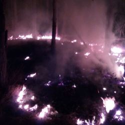 Požár trávy Račice