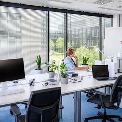 Ready-made společnost ušetří svého nového majitele byrokratických průtahů