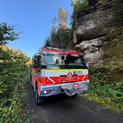 Hasiči z Česka a Německa procvičí spolupráci při lesních požárech v Českém Švýcarsku