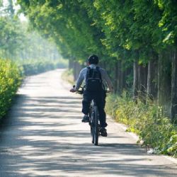 Nová cyklotrasa na Radovesické výsypce: Asfalt nebo jiný povrch?