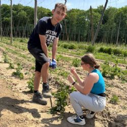 Nová zemědělská sezóna v Roudnici: studenti v akci na chmelových polích