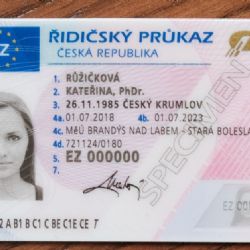 E-podání zvyšuje pohodlí žadatelům o řidičáky a pomáhá úřadům velkých měst