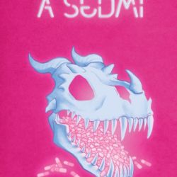 Knižní tip: O dracích a Sedmi. Návrat do světa draků, ale úplně jinak