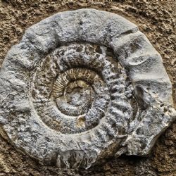 Café Nobel pro děti nabídne výlet do třetihor