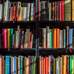 Vlci, Mozart a JednoHubky aneb Týden knihoven v Ústí nad Labem