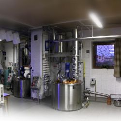 Severočeské pálenice v krizi - úroda ovoce klesla až o 90 %