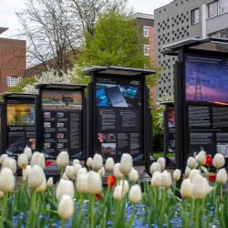 Ústí nad Labem hostí výstavu o udržitelnosti nonstop díky solárnímu osvětlení