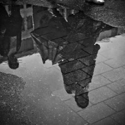 Dlouhá jízda a Růžová zahrada na zámku Děčín zažijí kompletní proměnu