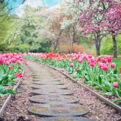 Zahrádkáři v Ústí protestují proti ukončení nájmů