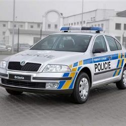 Z policejních svodek