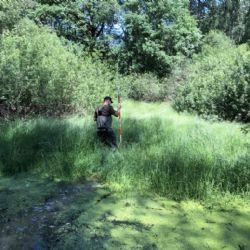 Radegast věnuje 1 milion korun na zbudování osmi tůní po celé České republice